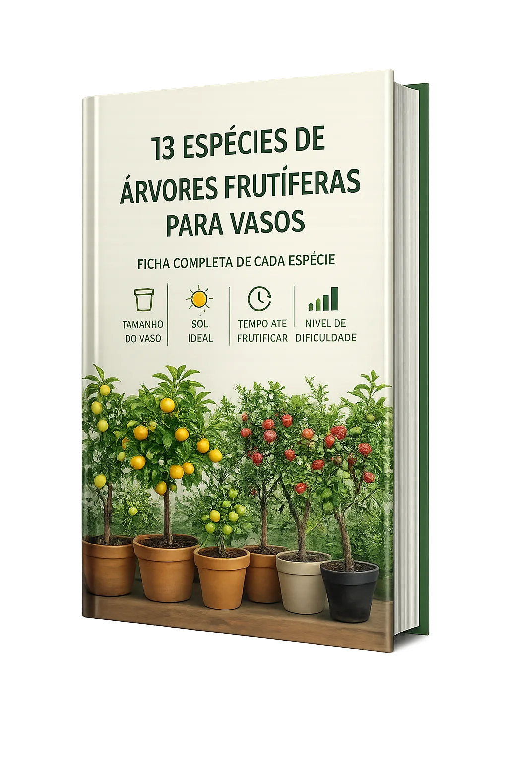 Bônus: 13 espécies de árvores frutíferas para vasos