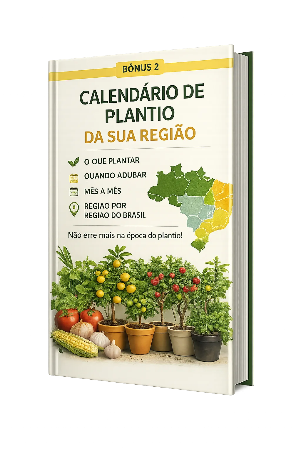 Bônus: calendário de plantio da sua região