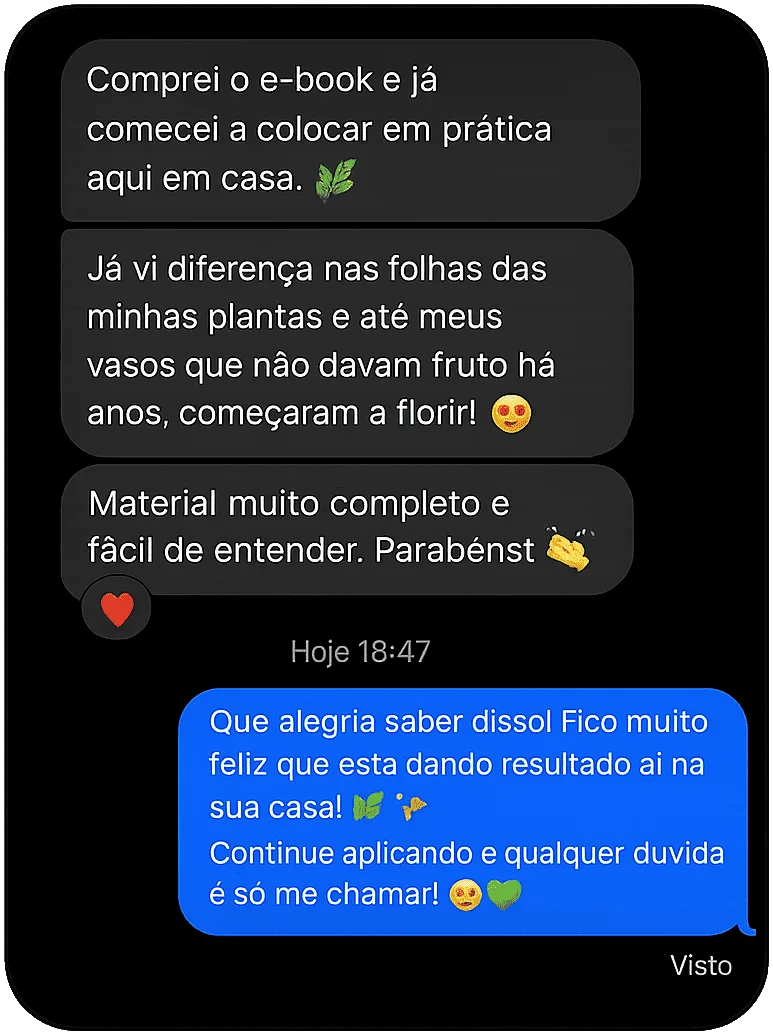 Depoimento de aluno no WhatsApp