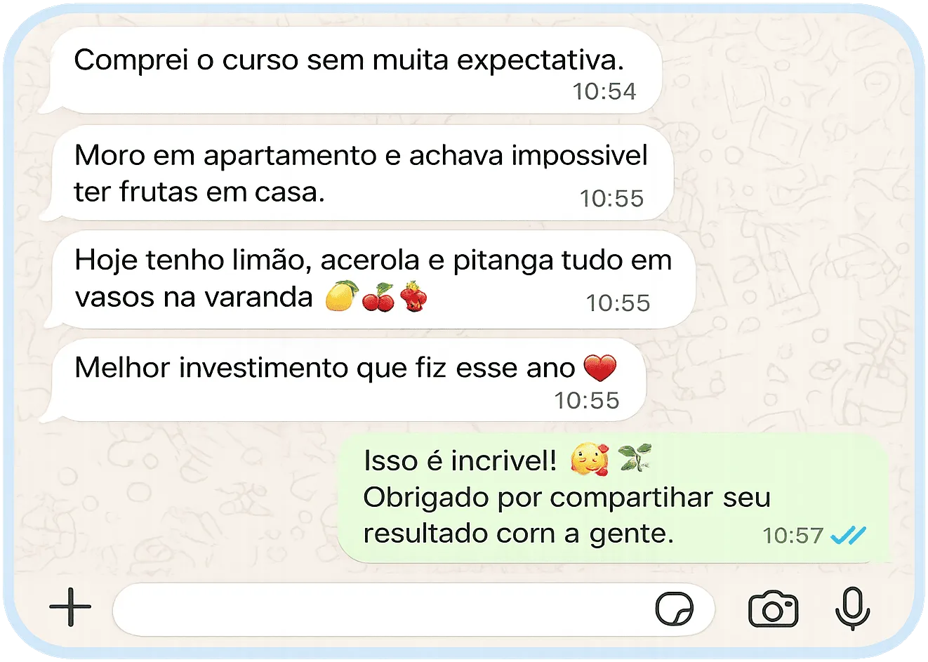 Depoimento de aluno no WhatsApp