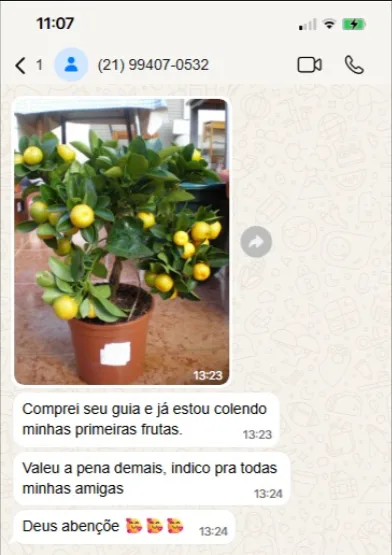 Depoimento de aluno no WhatsApp